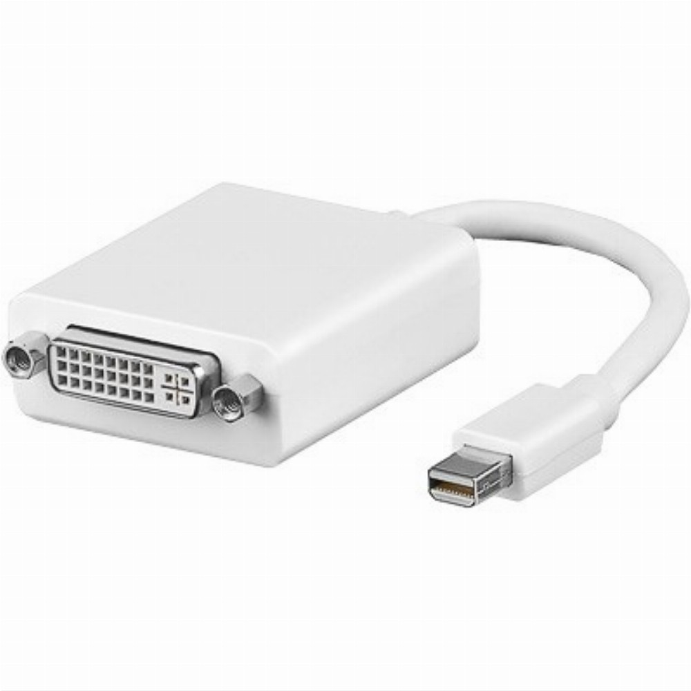 DisplayPort Mini > DVI (ST - BU) Adapter