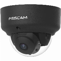 Foscam D2EP Überwachungskamera Schwarz