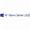 OEM Windows Server 2022 CAL 10 User